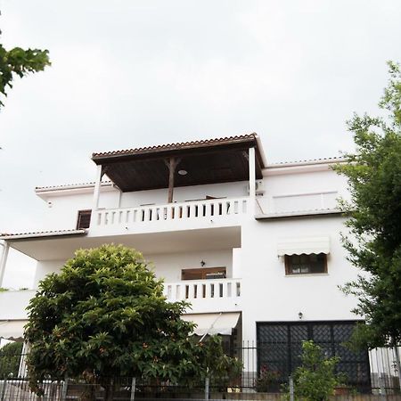 Bivas Nikolaos Villa PalaiónTsiflíkion Exterior foto