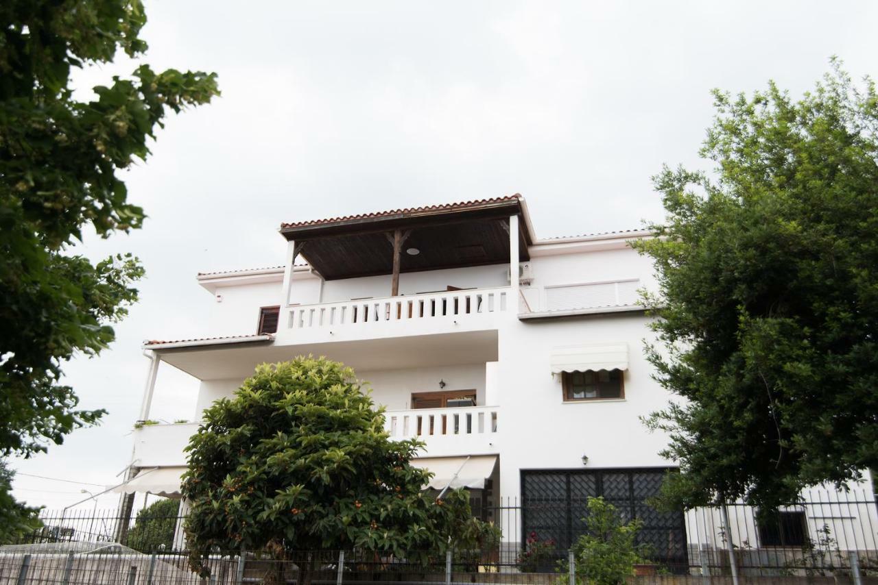 Bivas Nikolaos Villa PalaiónTsiflíkion Exterior foto